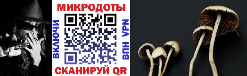 Галлюциногенные грибы прущие грибы  Нижний Новгород 