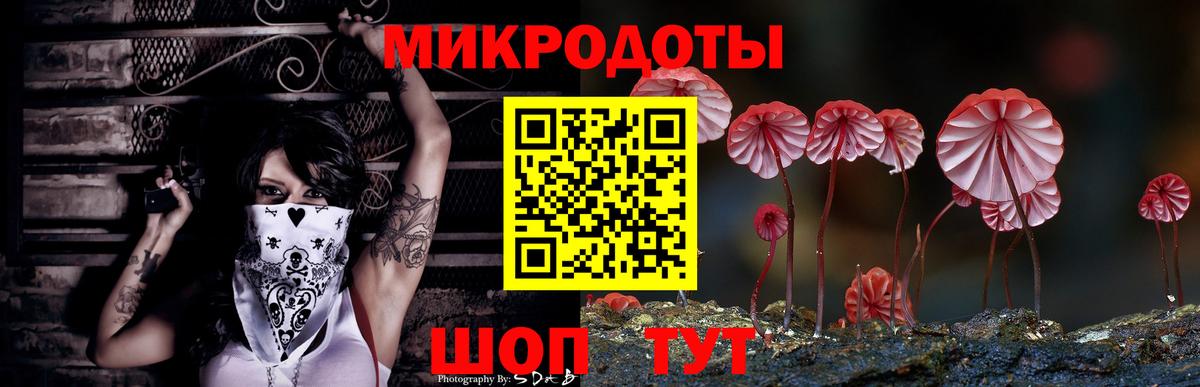 Нижний Новгород  Псилоцибиновые грибы мицелий  хочу наркоту  Вход с VPN 